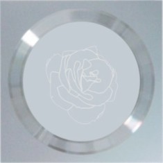 �ȿ�������1